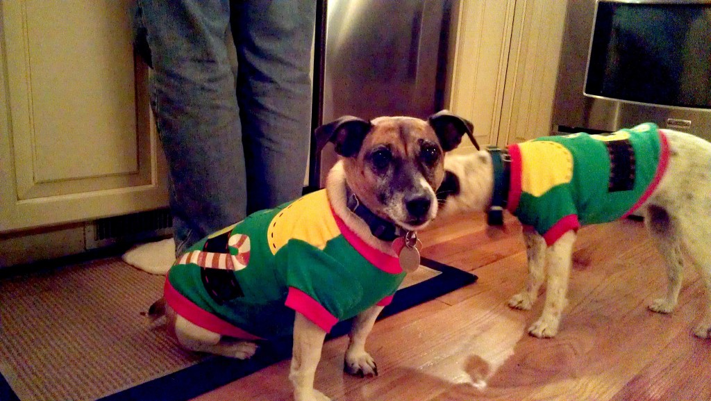 Fatty Christmas