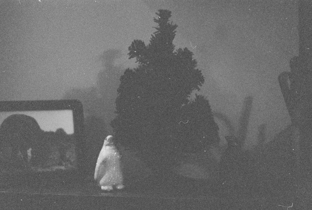 penguin Christmas