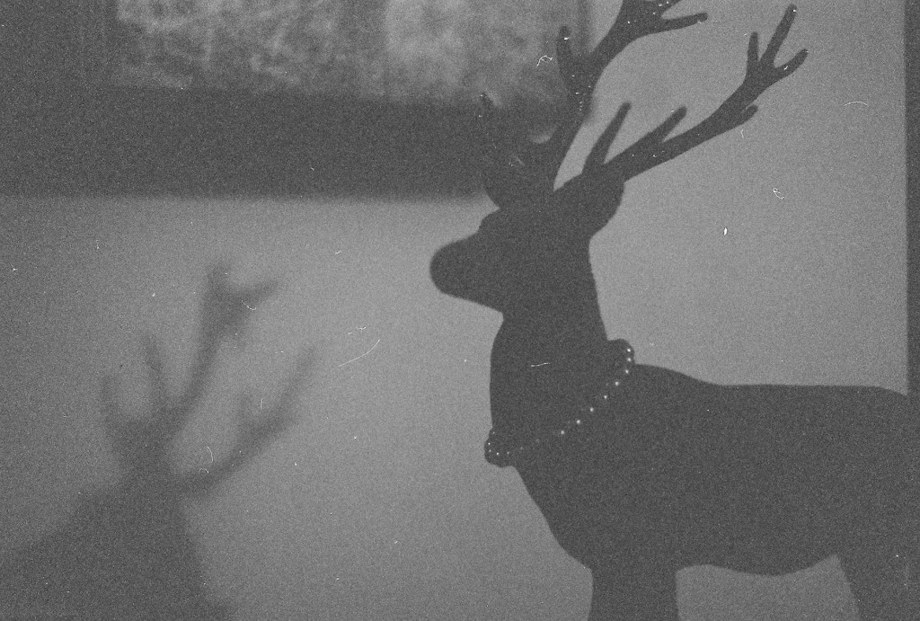 Christmas reindeer