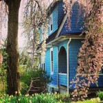 spring colors