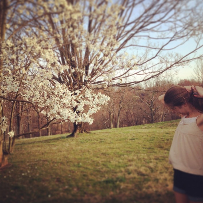 spring