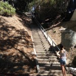 Found in L.A.: Secret stairs of Silver Lake