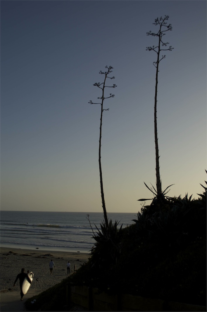 Pacific Beach