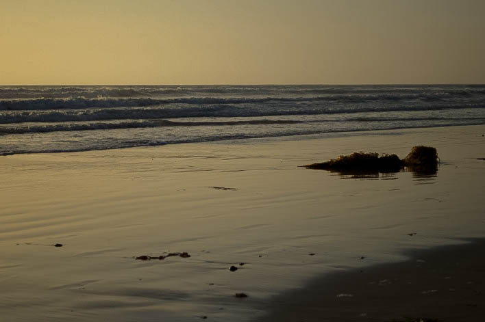 Pacific Beach