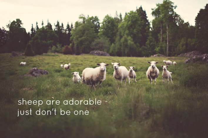 don't be a sheep