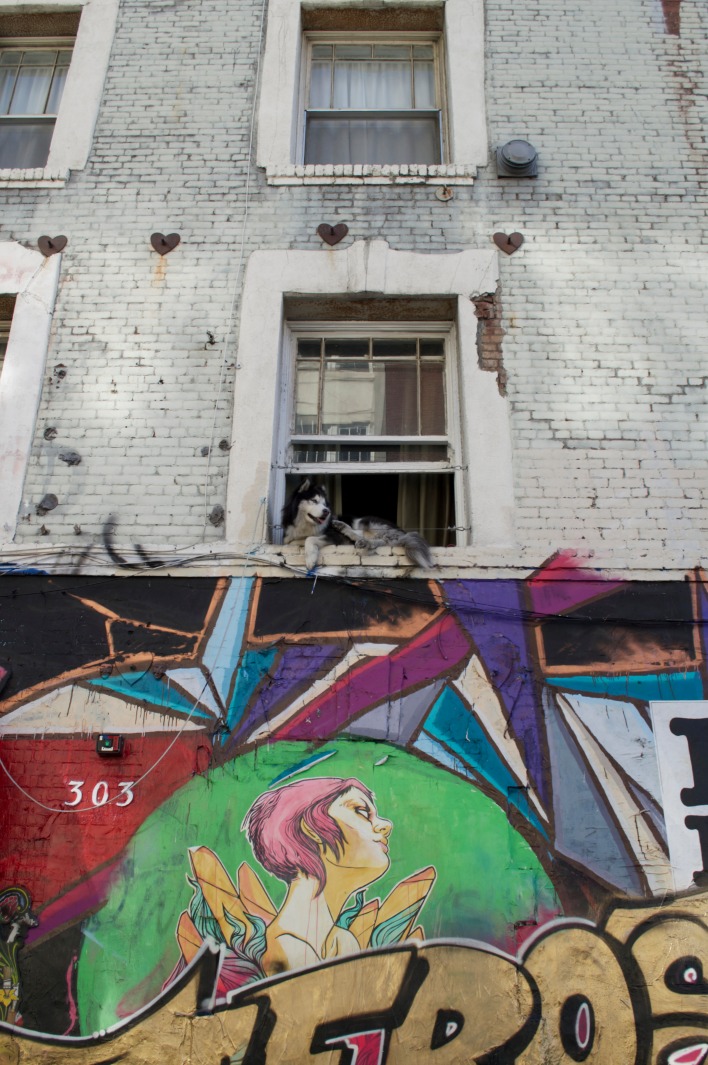DTLA arts district