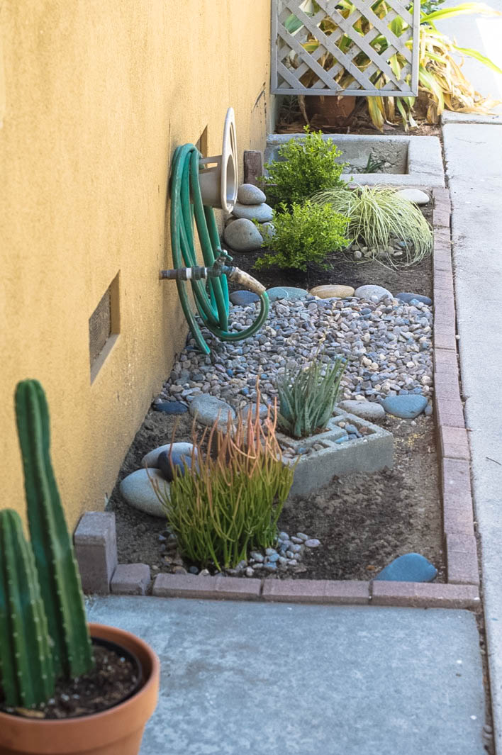 urban garden