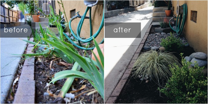 before & after