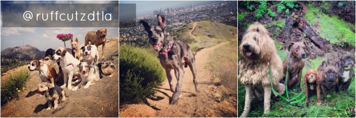 @ruffcutzdtla