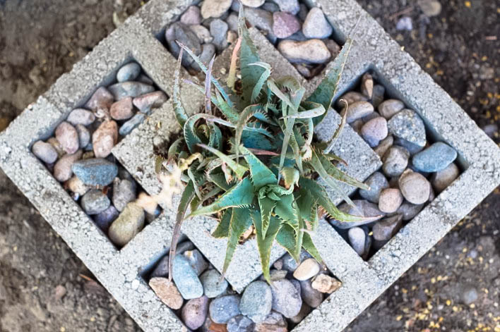 planter
