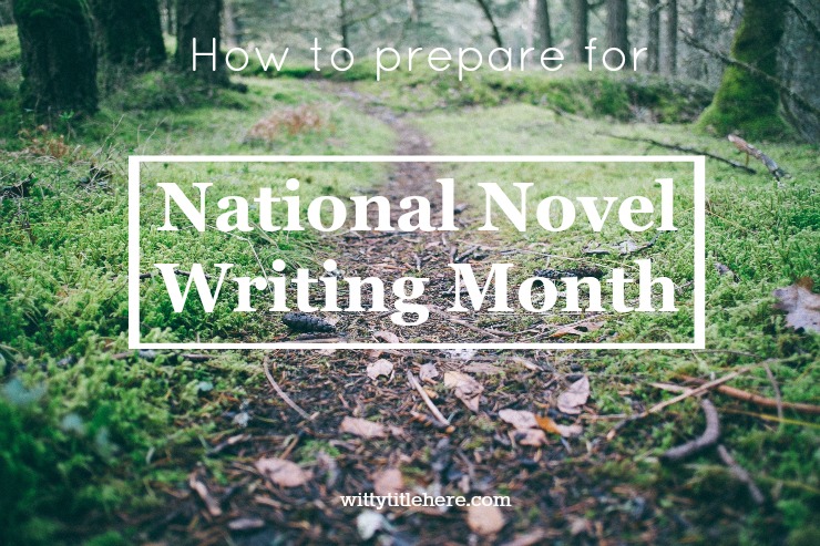 how to prepare for National Novel Writing Month